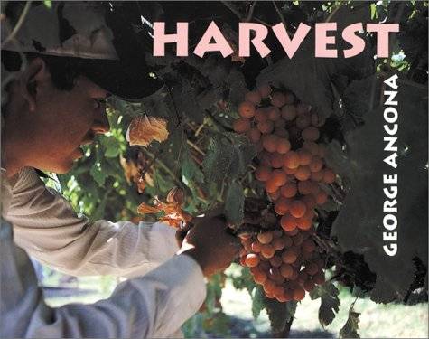 "Harvest" book cover featuring a photo of a person picking grapes